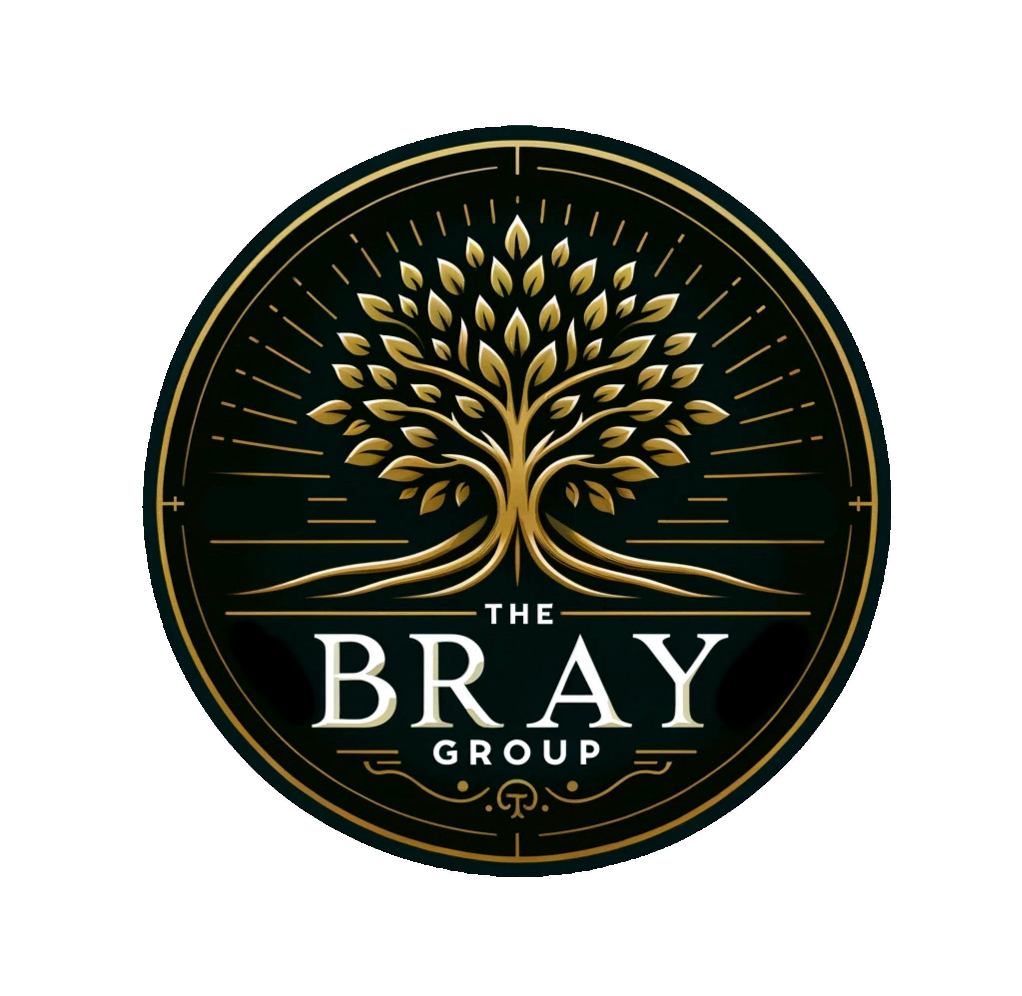 The Bray Group logo